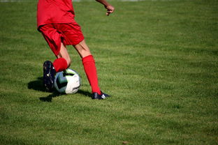 开云·体育官网APP下载-NBA球队青训体系建设与人才储备，nba青年队